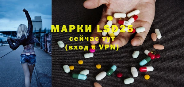 ГАЛЛЮЦИНОГЕННЫЕ ГРИБЫ Балахна